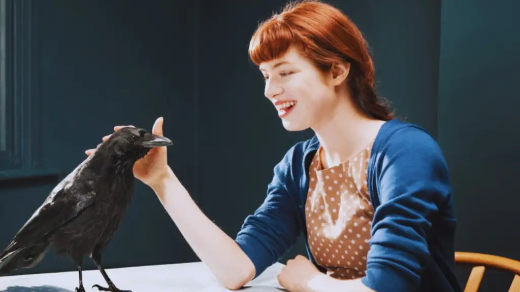 What Does It Mean If A Crow Follows You? 7 Astonishing Facts Chirper