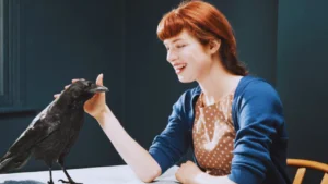 What Does It Mean If A Crow Follows You