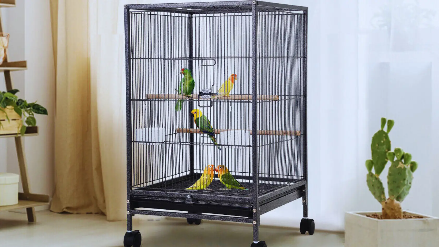 Bird Cage Stands