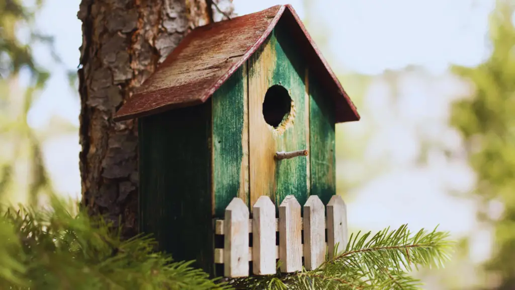 Birdhouse For Sparrows