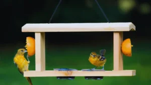 DIY Oriole Feeder