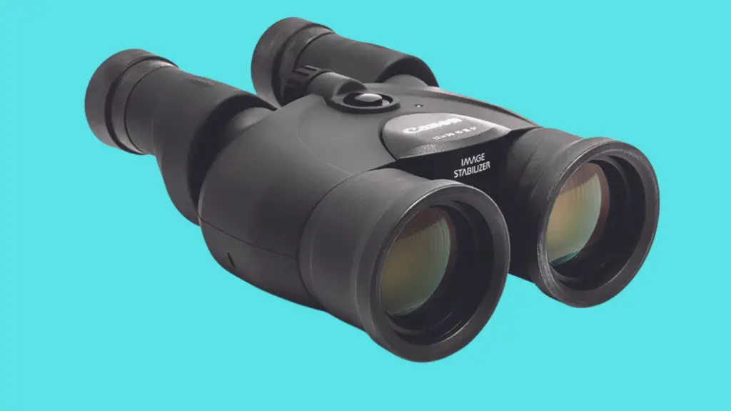 Best Binoculars Under 100 A Roundup of Top Performers Chirper Birds