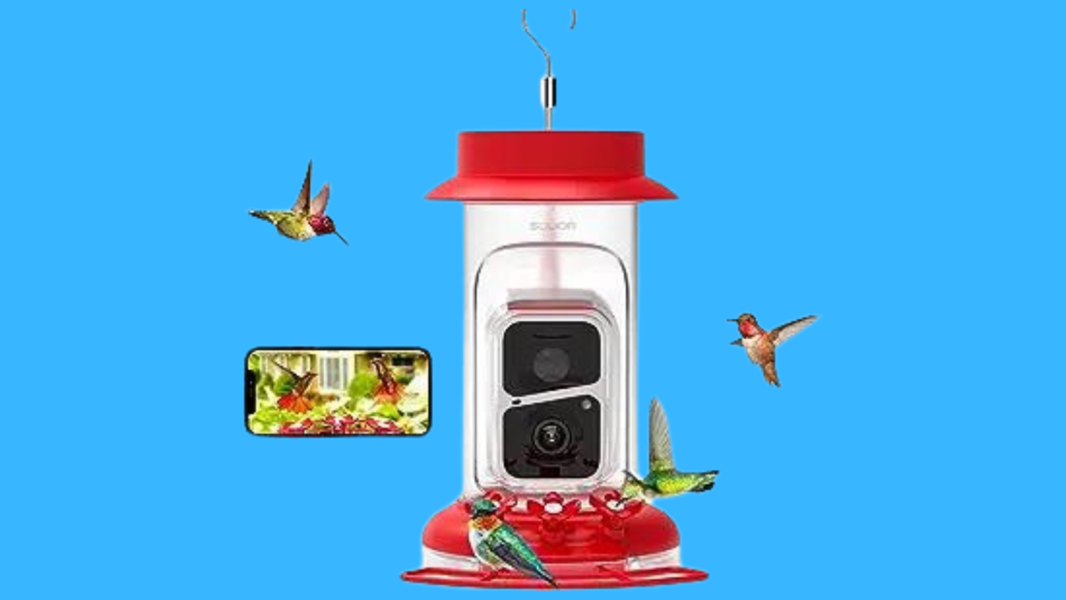 10 Best Hummingbird Feeders On Amazon A Roundup Of Top Picks Chirper Birds 