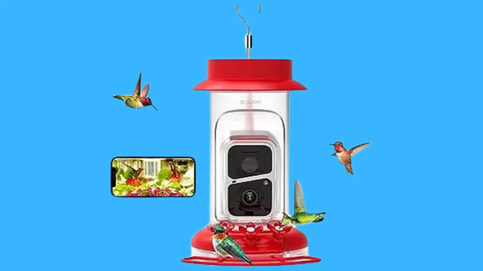 best hummingbird feeder