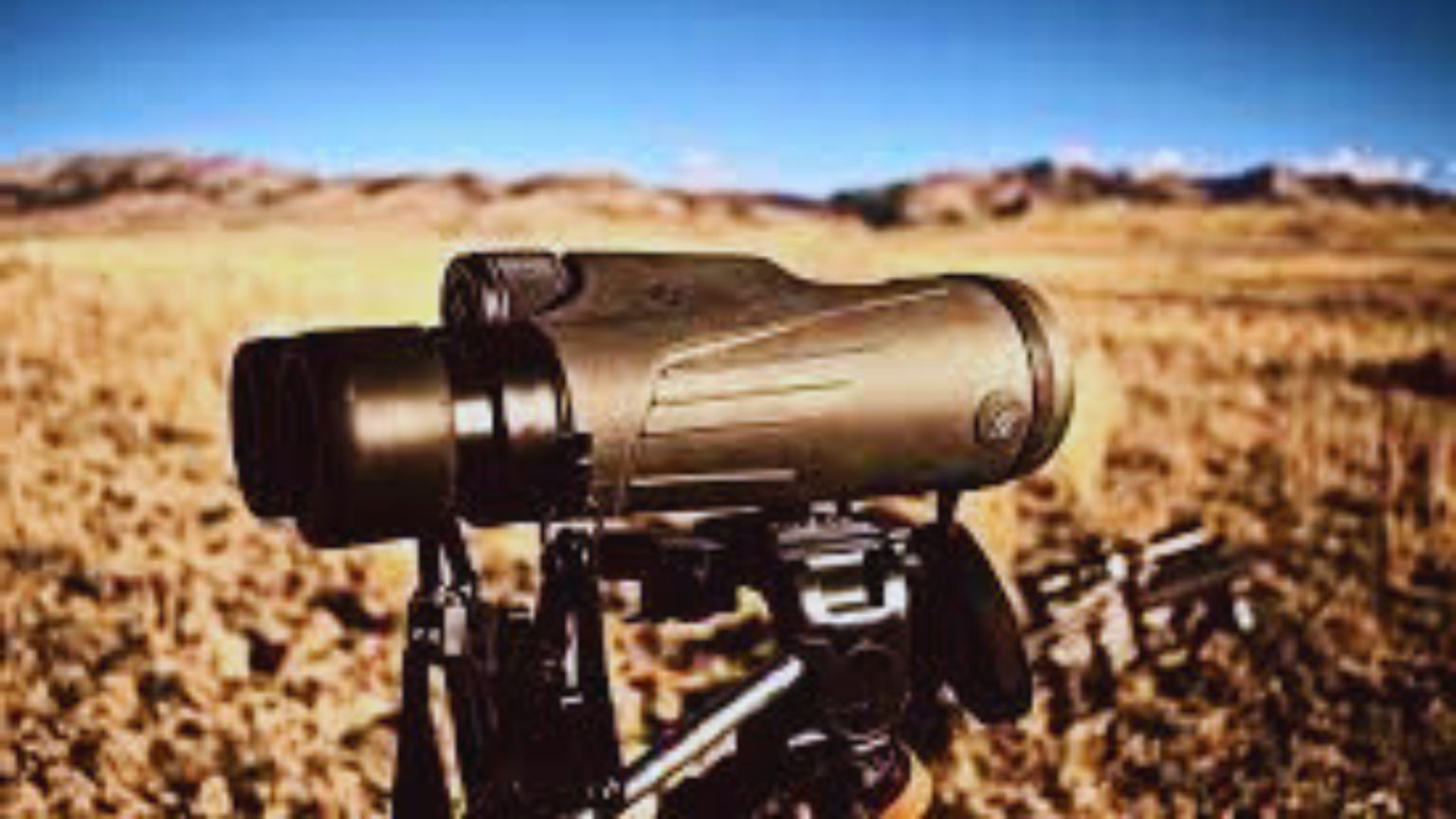 10 Best Binoculars for Hunting in 2023 Chirper Birds