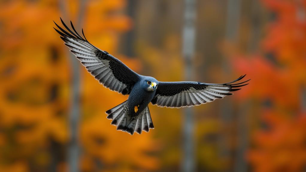 distinctive white neck patch