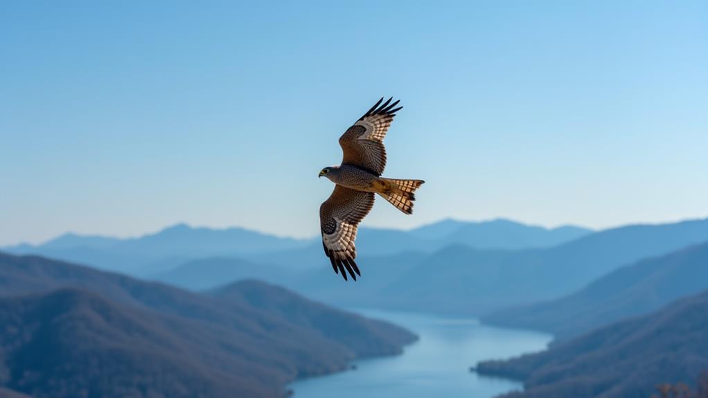 fascinating birds of carolina